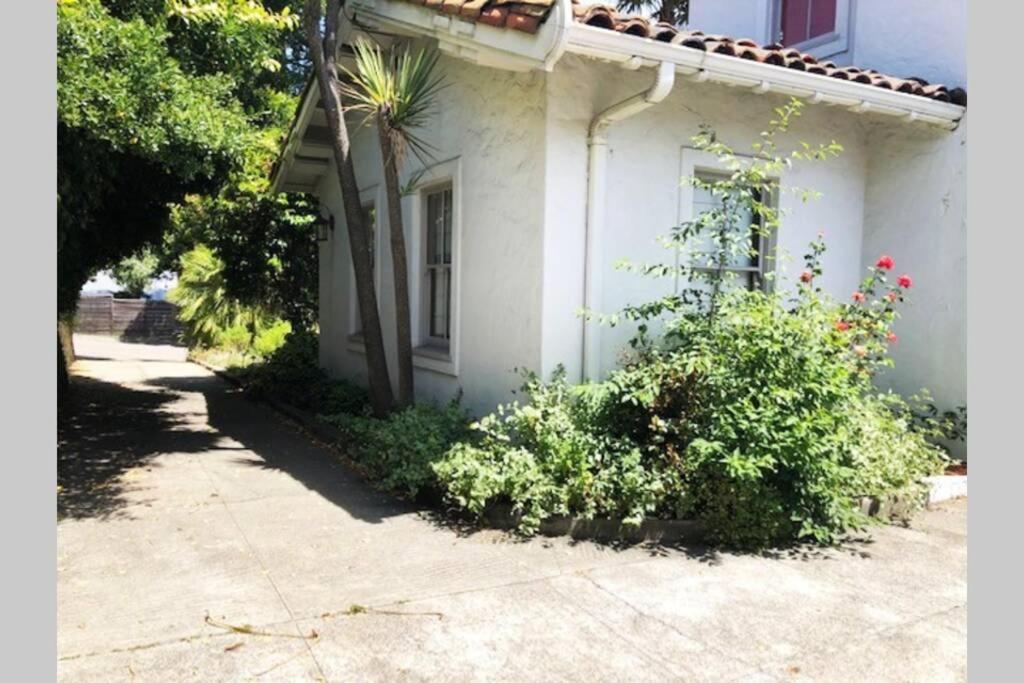 Elegant Spacious Private Studio ~ Upscale Berkeley Buitenkant foto