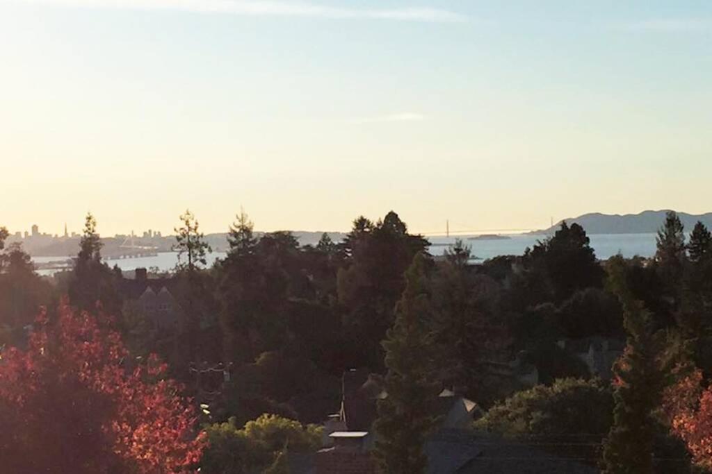 Elegant Spacious Private Studio ~ Upscale Berkeley Buitenkant foto